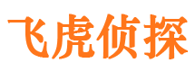 新泰侦探公司